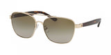 Tory Burch 6069 Sunglasses