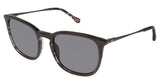 Champion CU6039 Sunglasses