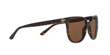 137883 - Havana - Brown Solid Polarized