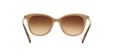 109013 - Black - Brown Gradient