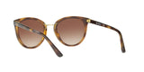 W65613 - Brown Gradient