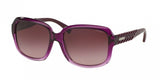 Coach L112 8141 Sunglasses