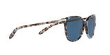 169280 - Blue Tortoise - Blue Solid