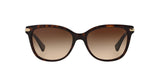 529113 - Havana - Dark Brown Gradient