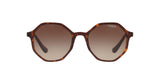 238613 - Brown Gradient