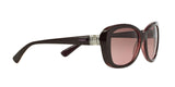 194114 - Brown - Pink Gradient Brown