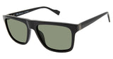 Ben Sherman BSKINGS Sunglasses