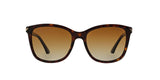 5026T5 - Havana - Polar Brown Gradient