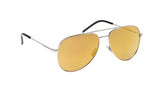 006 - Silver/Silver - Gold