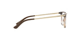 1916 - Top Light Havana/Transparent
