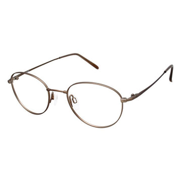 Aristar AR16216 Eyeglasses