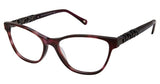 Jimmy Crystal New York B7C0 Eyeglasses