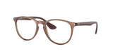 Ray Ban Erika 7046 Eyeglasses