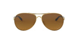 407911 - Gold - Brown Gradient Polarized