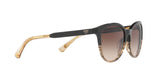556713 - Brown - Brown Gradient