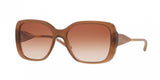 Burberry 4192 Sunglasses