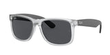 Ray Ban Justin 4165F Sunglasses