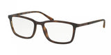 Polo 1167 Eyeglasses