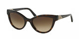 Bvlgari 8156B Sunglasses