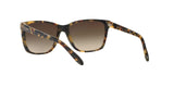 905/13 - Brown - Brown Gradient