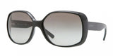 Donna Karan New York DKNY 4101 Sunglasses