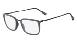 Flexon FLEXON E1082 Eyeglasses