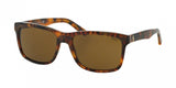 Polo 4098 Sunglasses