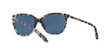 169280 - Blue Tortoise - Blue Solid
