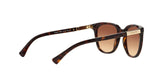 137813 - Havana - Brown Gradient