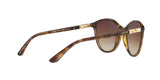 W65613 - Havana - Brown Gradient