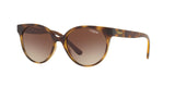 W65613 - Havana - Brown Gradient