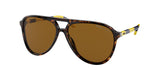 Polo 4173 Sunglasses