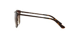 934S13 - Brown - Brown Gradient