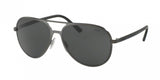 Polo 3102 Sunglasses