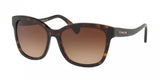 Coach 8219F Sunglasses