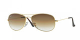 Ray Ban Cockpit 3362 Sunglasses