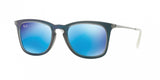 Ray Ban 4221 Sunglasses