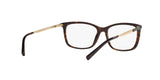 3106 - Dk Tortoise/gold