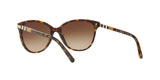 300213 - Havana - Brown Gradient