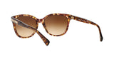 528713 - Light Brown - Brown Gradient