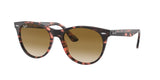 Ray Ban Wayfarer Ii 2185 Sunglasses