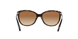 510/13 - Havana - Brown Gradient