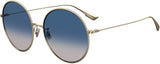 Dior Diorsociety2 Sunglasses