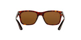 24/57 - Havana - Brown Polarized