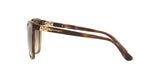 W65613 - Havana - Brown Gradient