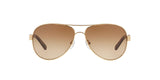 420/13 - Havana - Brown Gradient