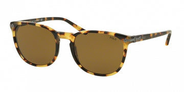 Polo 4107 Sunglasses