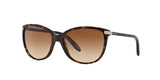 510/13 - Havana - Brown Gradient