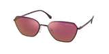 Michael Kors Delphi 1081 Sunglasses