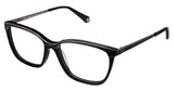 Balmain BL1064 Eyeglasses